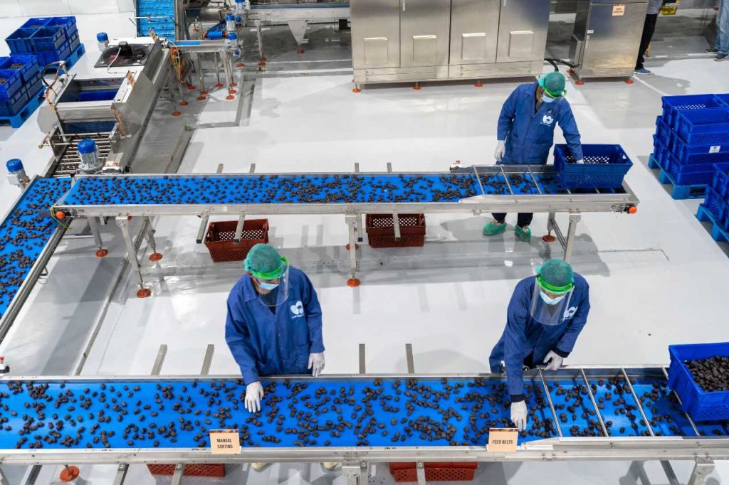 पाकिस्तान में खजूर प्रोसेसिंग फैक्ट्री पंजगुर ने यूएई की सहायता से उत्पादन शुरू किया